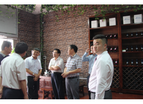 邢臺(tái)市副市長(zhǎng)郭旭濤來(lái)我公司參觀考察