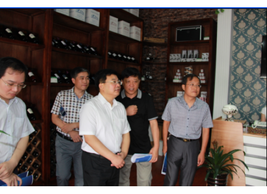 共青團(tuán)河北省委副書(shū)記柴寶良來(lái)我公司參觀考察